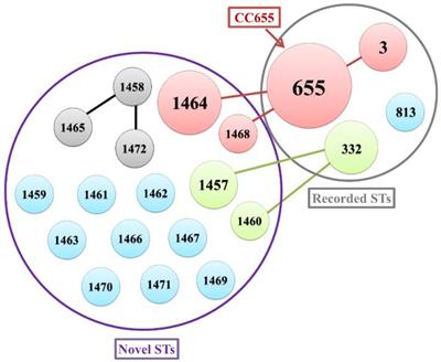 A Comprehensive Epidemiological Research for Clinical Vibrio parahaemolyticus in Shanghai